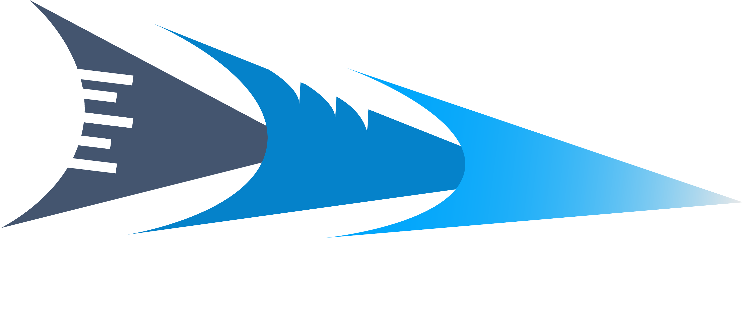 Barracudas Group